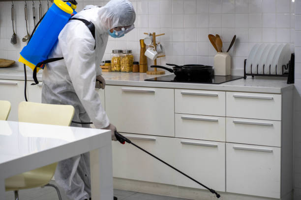 شركة ابادة ابراص