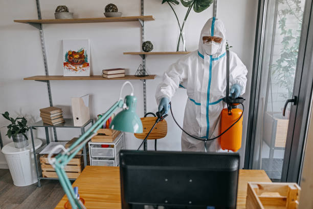 شركة ابادة سوس